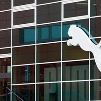 彪马（Puma）预期2018年增幅将达到10%