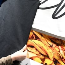 Das bananas às escamas de peixe: a caça da moda pelos materiais ecológicos