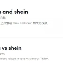 深度 | 谁在放火？SHEIN大战Temu