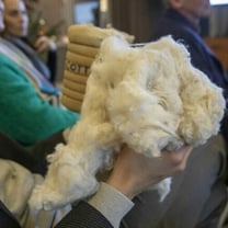 Le coton européen veut séduire l'industrie textile du Vieux Continent