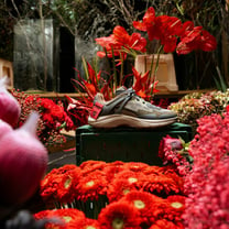 Hugo and Flowers for Society partner for sneaker launch