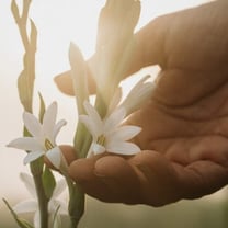 La industria de la belleza apuesta por una perfumería más sostenible